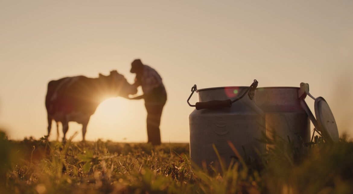 PREVENTION IS BETTER THAN CURE APPLIED TO HEAT STRESS