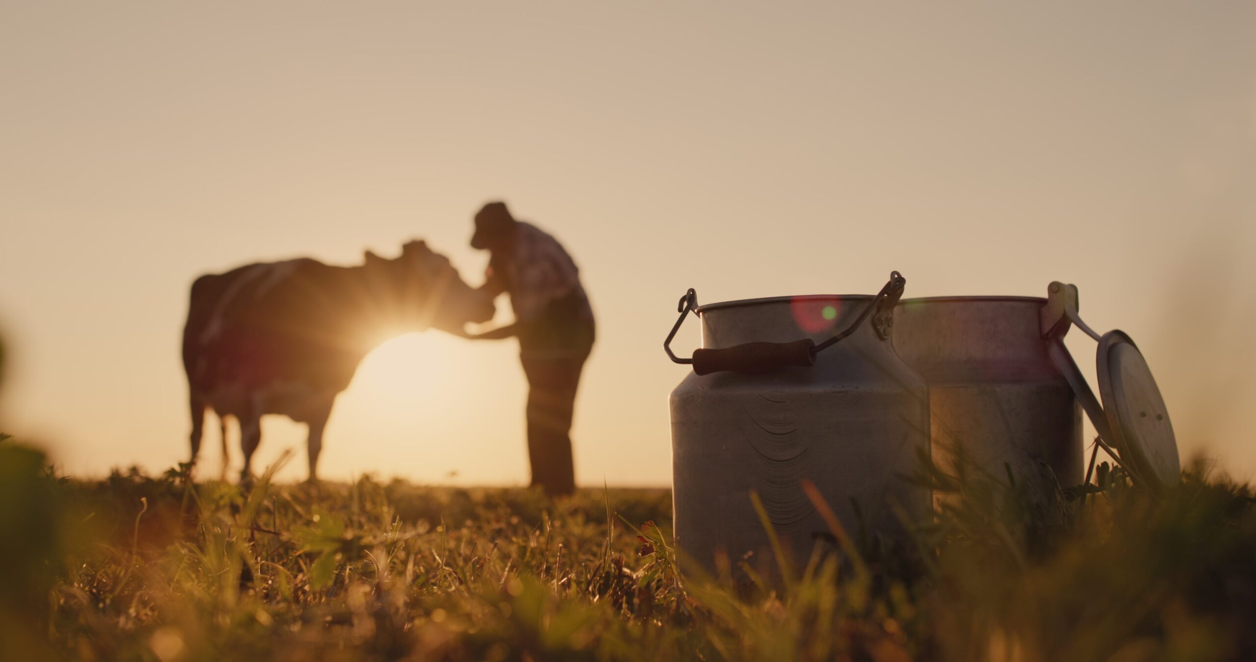 PREVENTION IS BETTER THAN CURE APPLIED TO HEAT STRESS